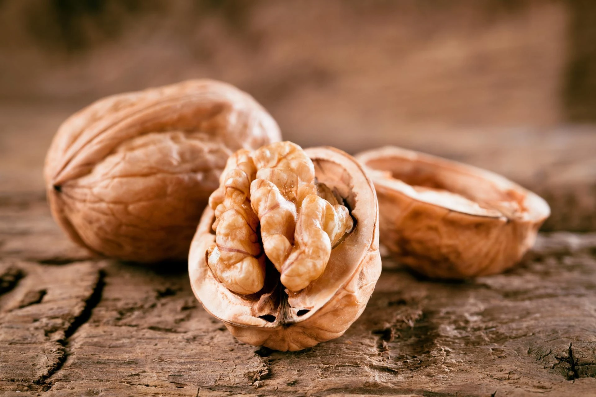 AdobeStock_479135115